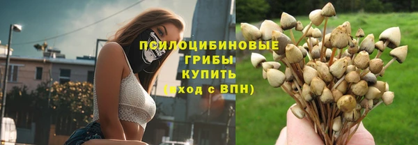хмурый Аркадак