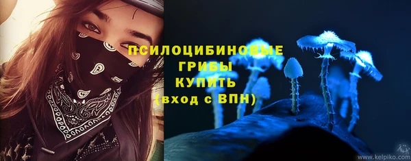 хмурый Аркадак