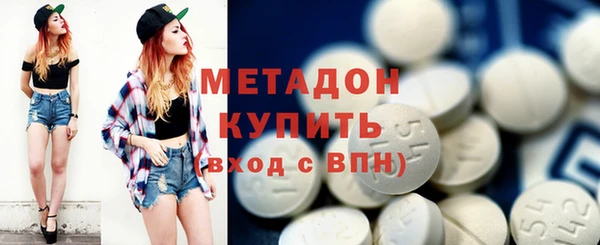 хмурый Аркадак