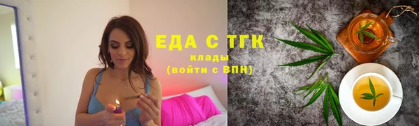 хмурый Аркадак