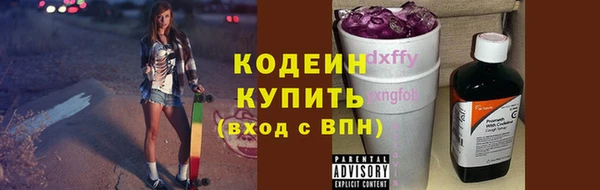 хмурый Аркадак