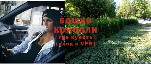 хмурый Аркадак
