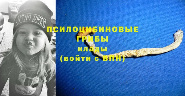 СК Армянск