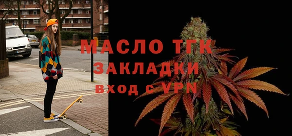 хмурый Аркадак
