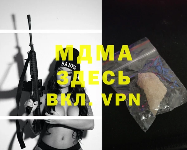 хмурый Аркадак