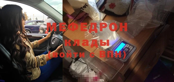 хмурый Аркадак