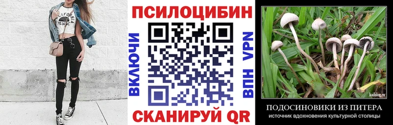 Псилоцибиновые грибы Magic Shrooms  OMG ТОР  Райчихинск 